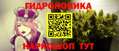 гидра Донецк
