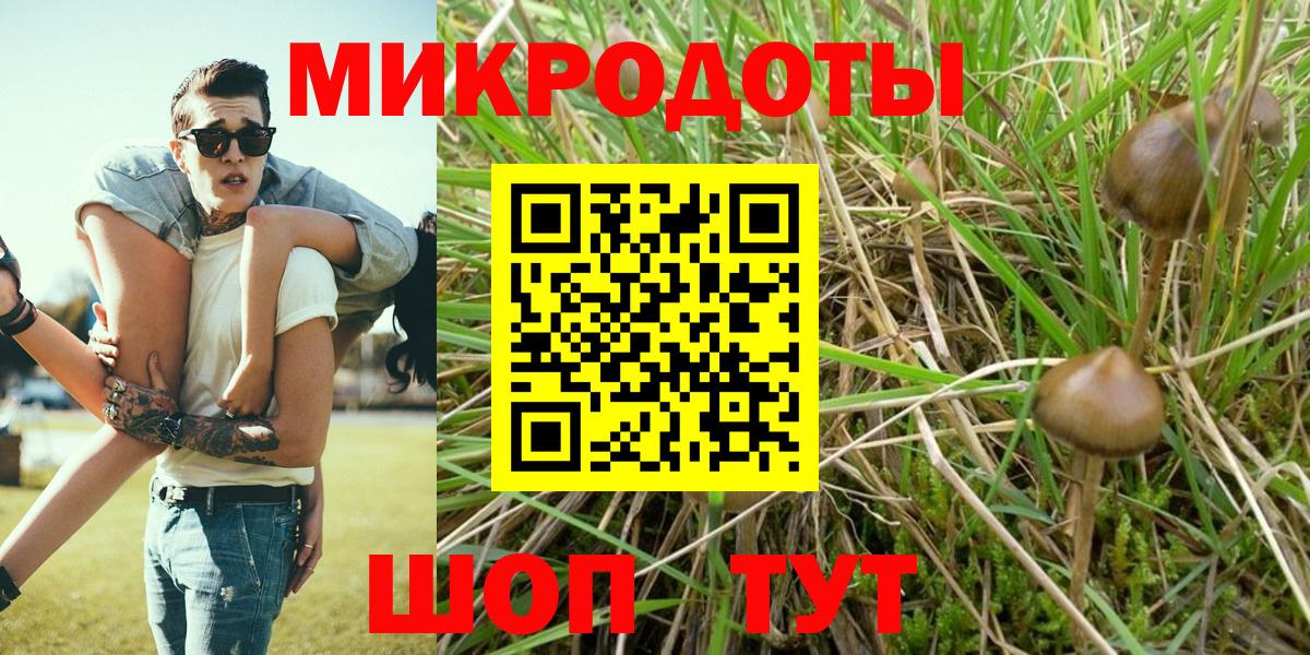 продажа наркотиков  Вход с VPN  Моздок  Псилоцибиновые грибы Magic Shrooms 