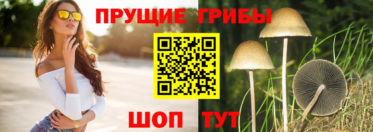 Галлюциногенные грибы Cubensis Моздок