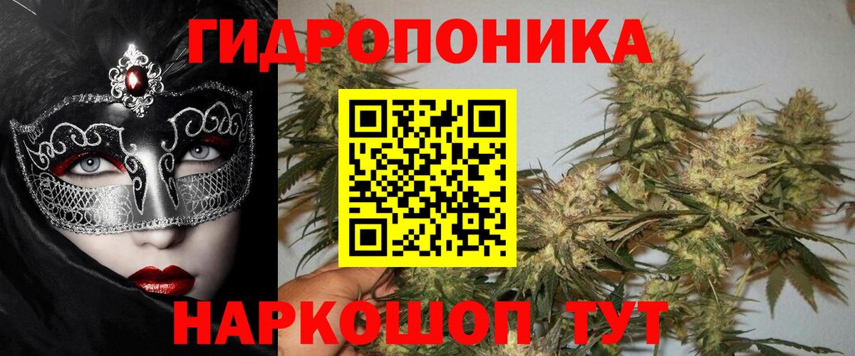 Шишки марихуана конопля Моздок